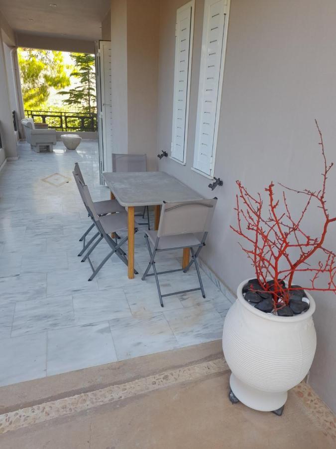 Suite With Garden Agia Marina  Eksteriør bilde